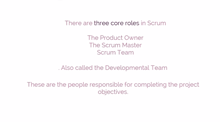 Scrum Roles