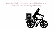 6sigma Roles & Responsibilities